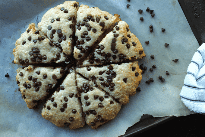 These healthy high protein chocolate chip scones are HIGHLY ADDICTING, and sooo good for you! Each one is only 145 calories and has 10g of protein too.