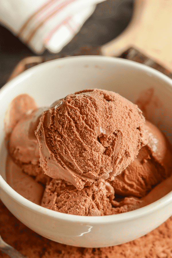 Chocolate ice cream in a white bowl.