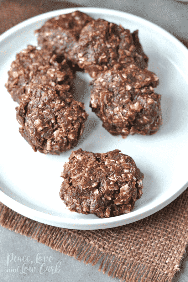 Chocolate Peanut Butter No Bake Keto Cookies