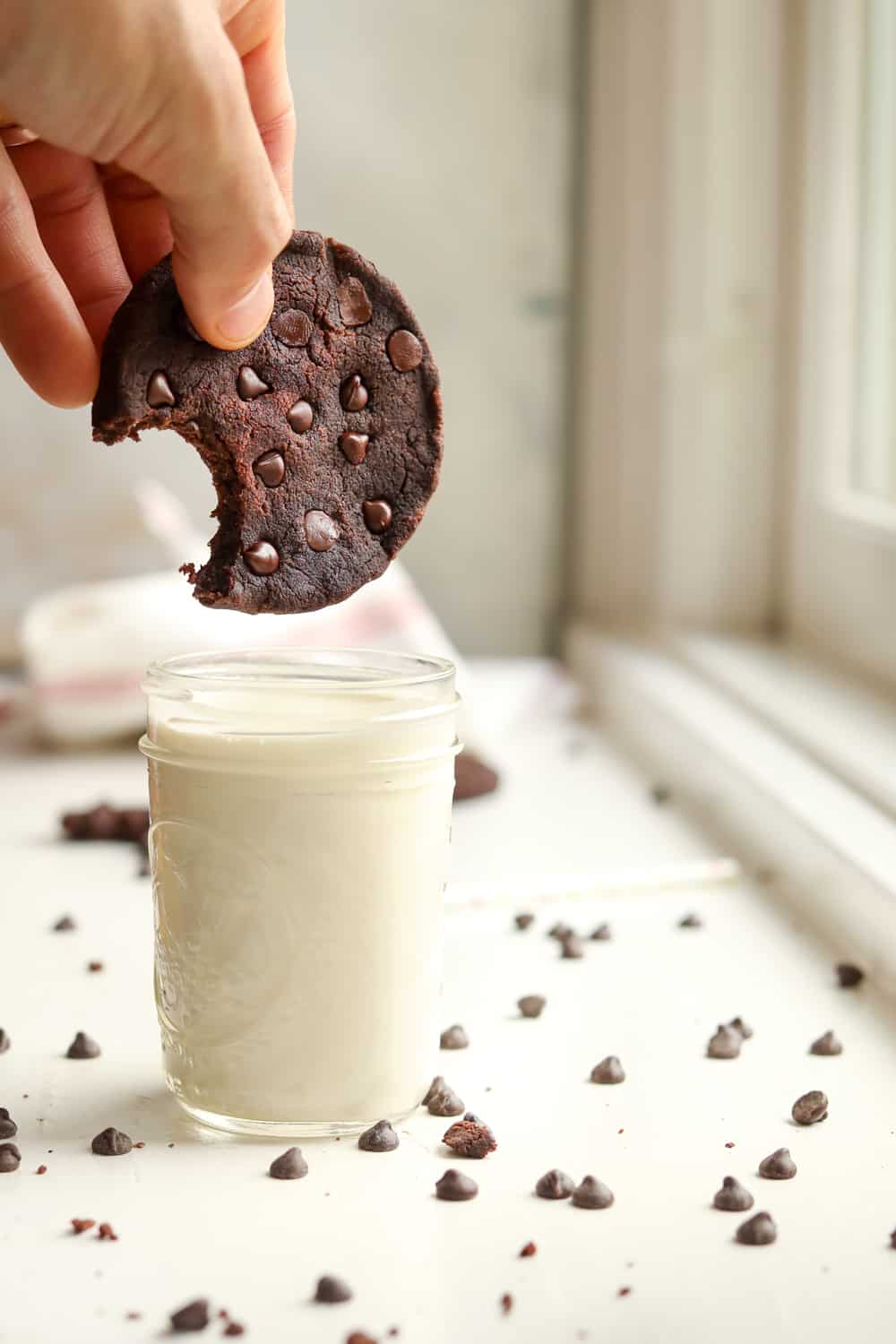 A keto double chocolate chip cookie about to be dunked in milk.