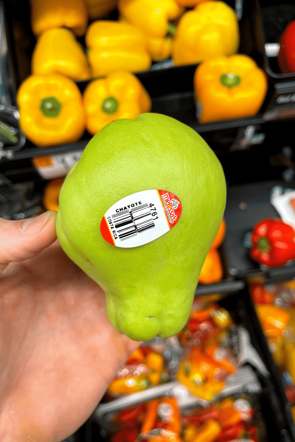 A hand holding a chayote.