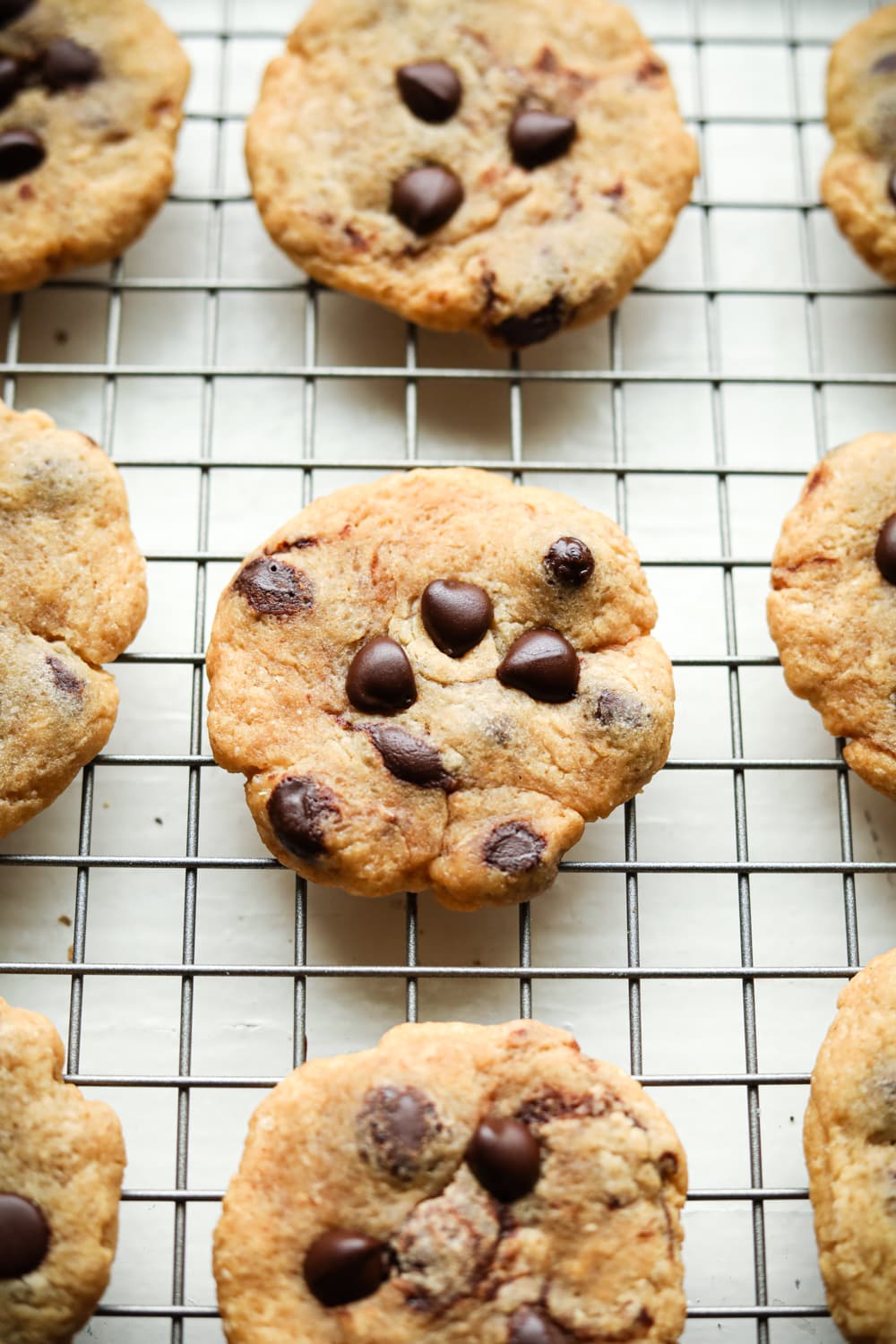 Chocolate chip cookies set in rows on a wire rack.