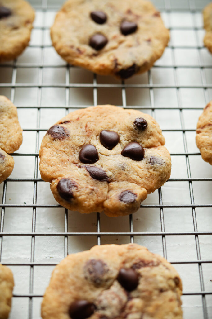 Low Calorie Chocolate Chip Cookies (59 Calories Each)