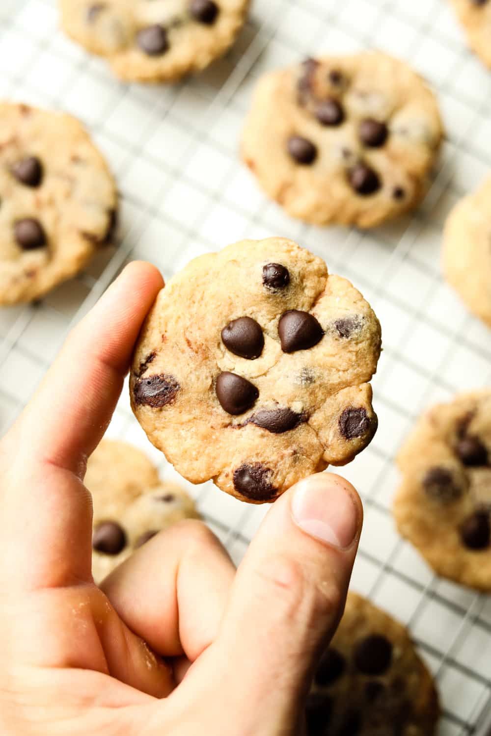 A hand holding a chocolate chip cookie. There are other cookies on a wire rack underneath it.