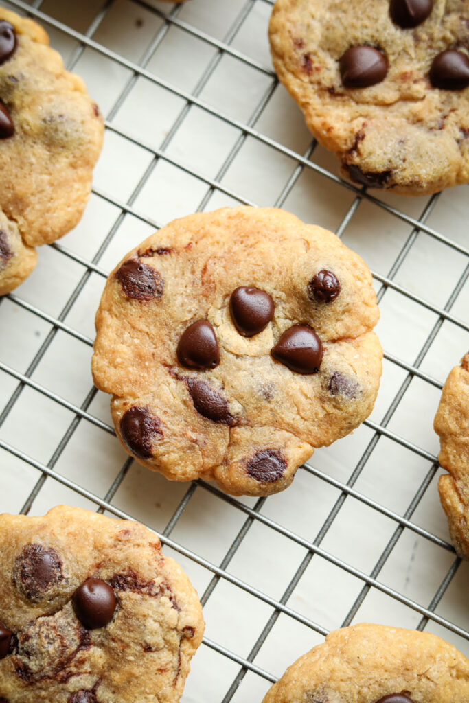Low Calorie Chocolate Chip Cookies (59 Calories Each)