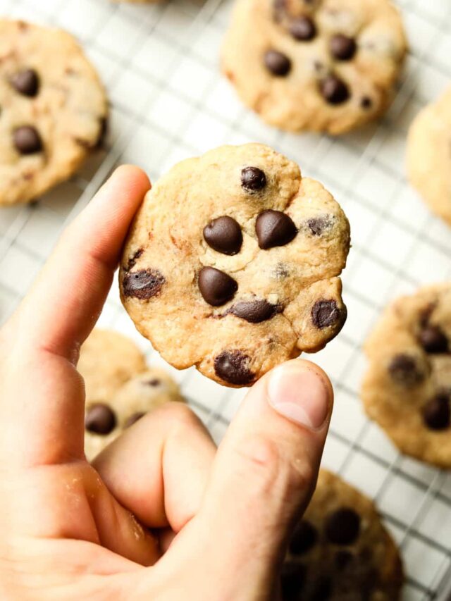 A hand holding a chocolate chip cookie. There are other cookies on a wire rack underneath it.