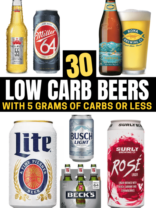 Carbs Bud Light Can Shelly Lighting