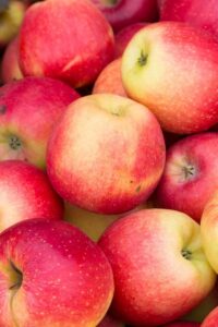 Apples stacked on top of one another.