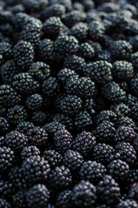 Blackberries stacked on top of one another.