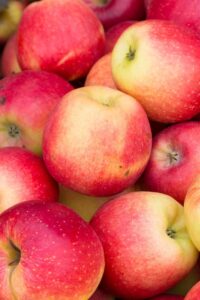 A bunch of apples in a pile.