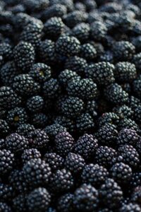 A bunch of blackberries in a pile overlapping one another.