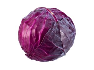 A head of red cabbage.