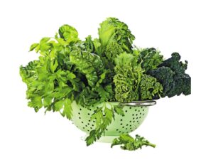 A bunch of leafy greens in a strainer.