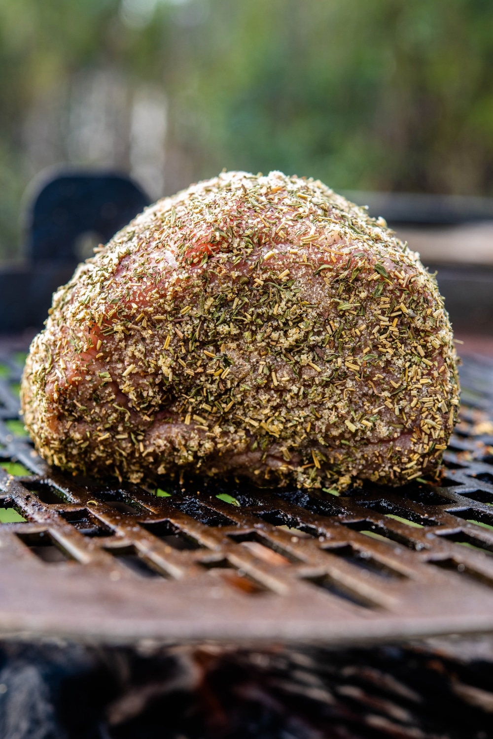 Raw beef tenderloin coated in herbs on a charcoal grill.