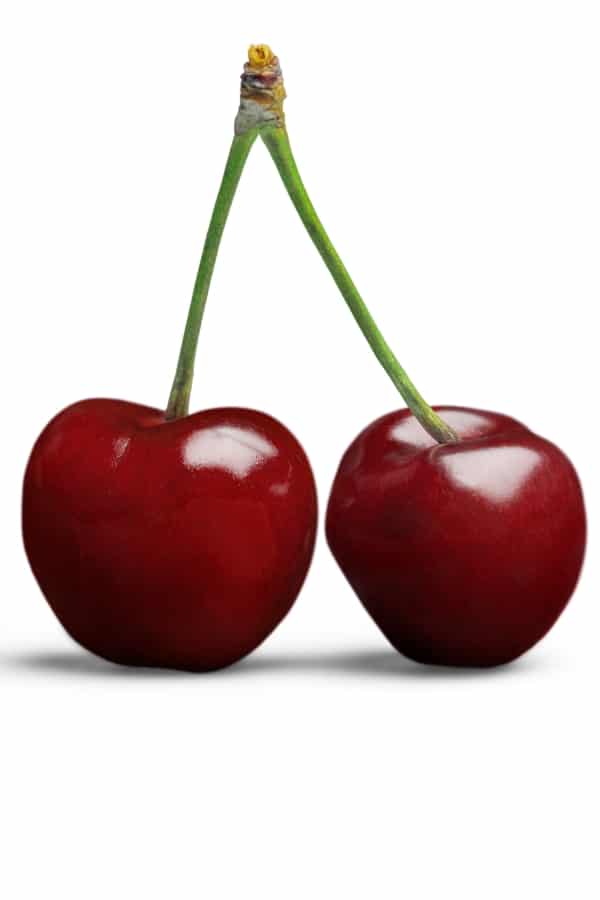 Two cherries held together by a stem.