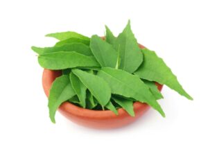 A bunch of curry leaves in a bowl.