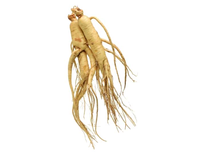 A root of ginseng.