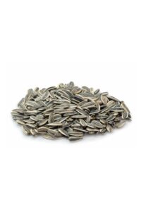 A bunch of sunflower seeds.