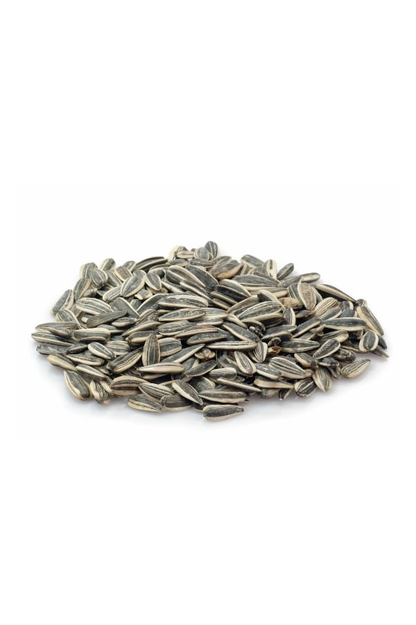 A bunch of sunflower seeds.