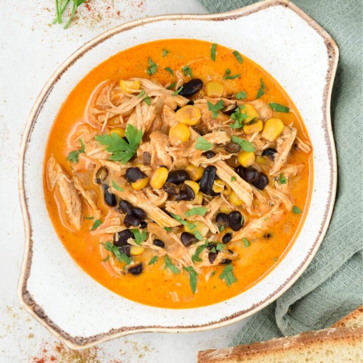 Overhead view of a bowl of chicken enchilada soup.