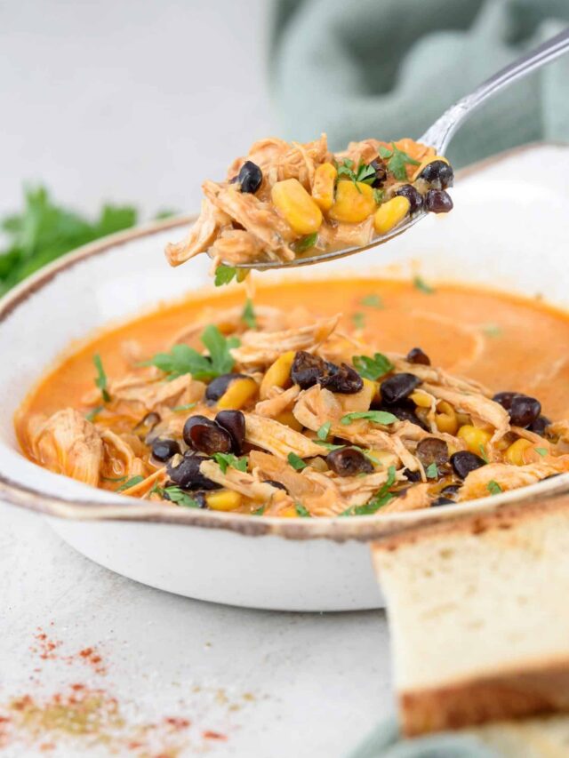 A spoonful of chicken enchilada soup over a full bowl.
