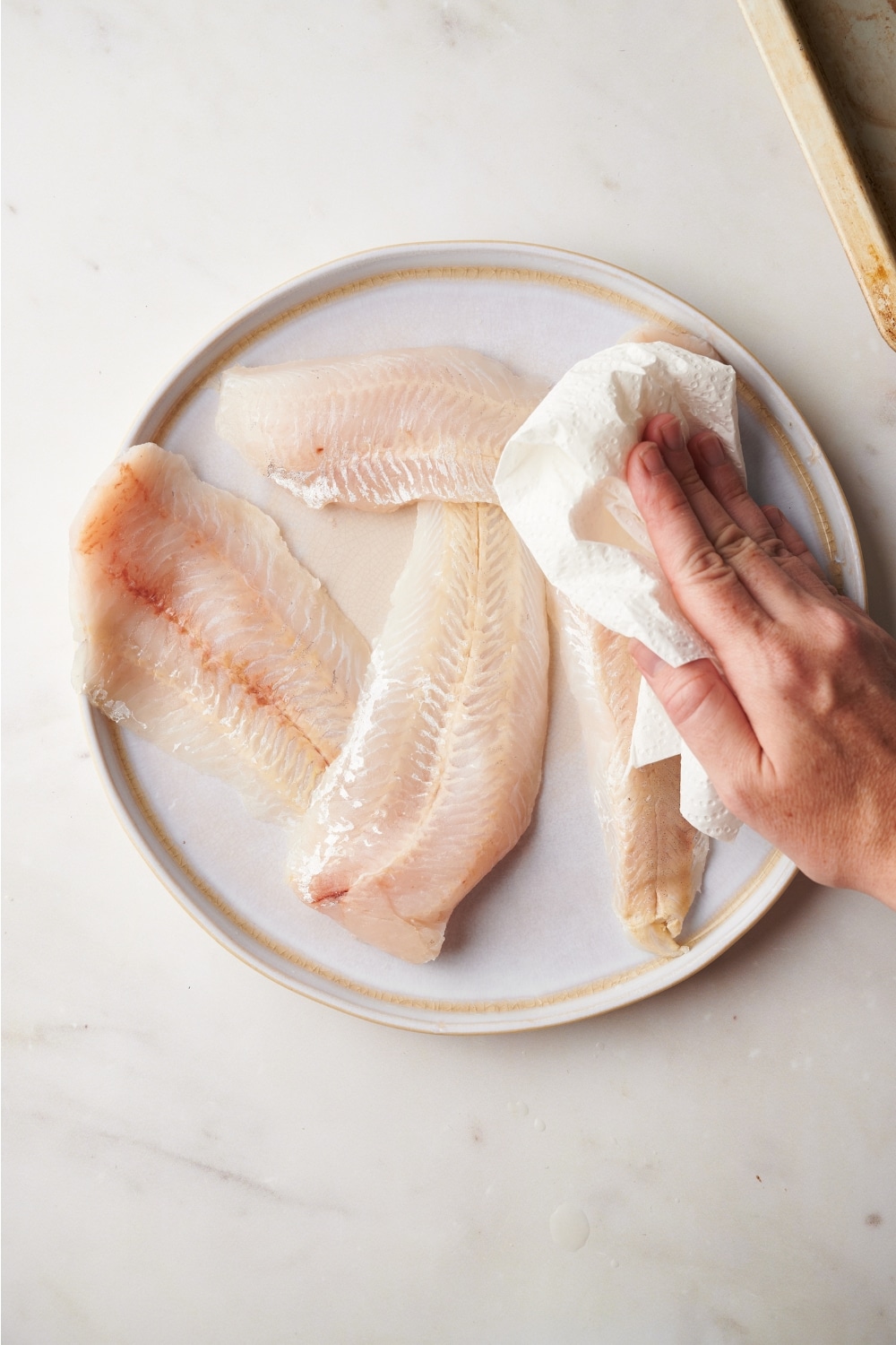 A hand patting catfish dry with paper towels.