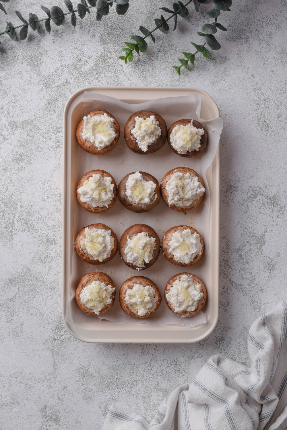 Four rows of three cream cheese stuffed mushrooms on top of parchment paper in a baking tray on a grey counter.