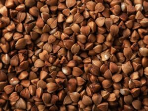 Buckwheat