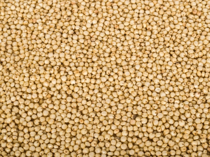 Sorghum