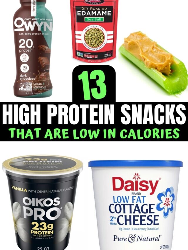 A bunch of low calorie high protein snacks that you can eat.