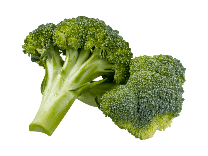 Two stalks of broccoli.