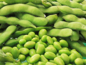 A bunch of edamame in the shells and out of the shells.