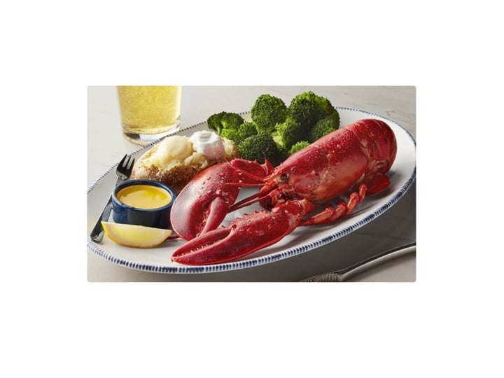 A live main lobster on a plate.