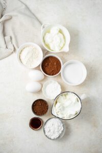 Overhead view of an assortment of ingredients including two eggs and bowls of flour, cocoa powder, vanilla extract, powdered sugar, and yogurt.