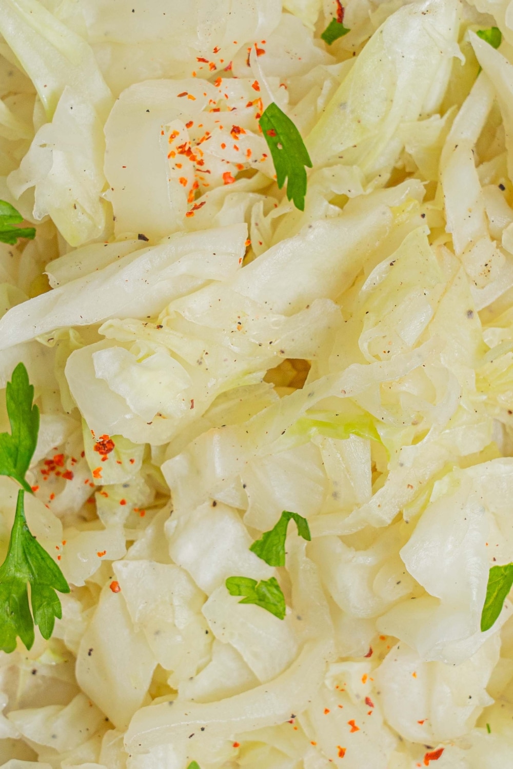 A close up of steamed cabbage garnished with fresh parsley.